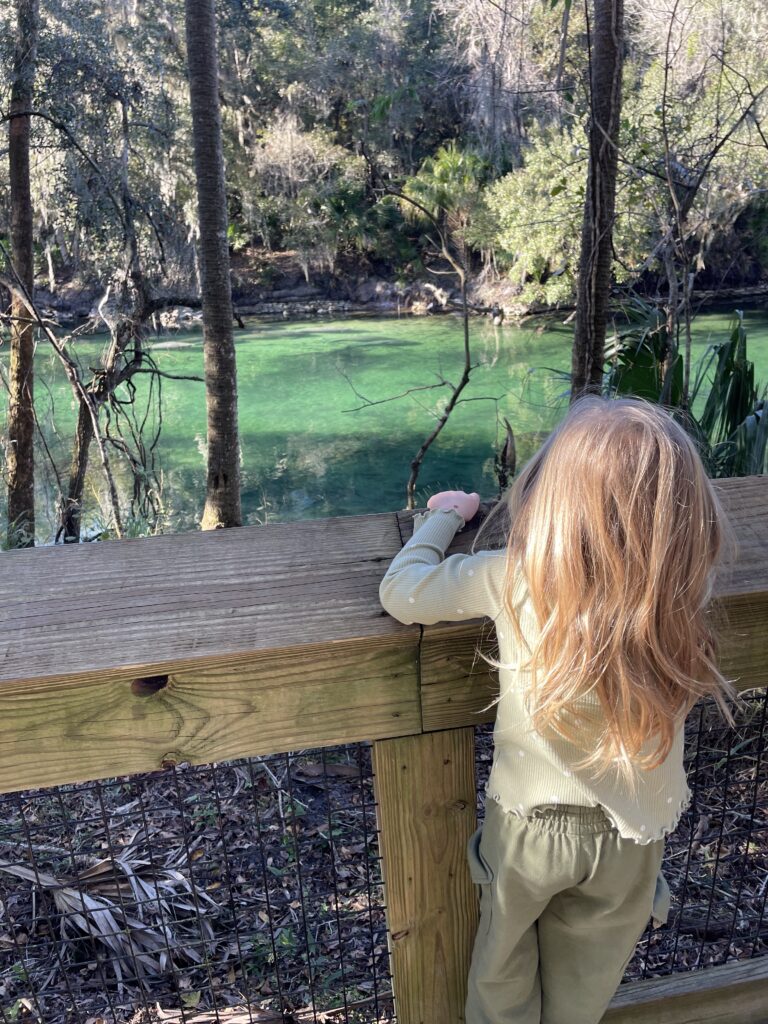 kid on the boardwalk at Blue Spring State Park looking at the springs