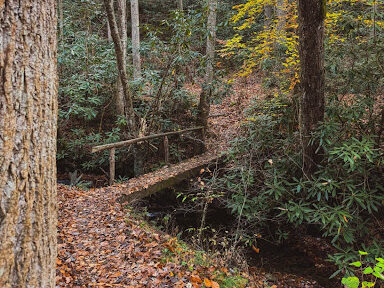 quiet walkway trail near great smoky mountain national park