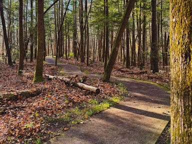 quiet walkway trail 