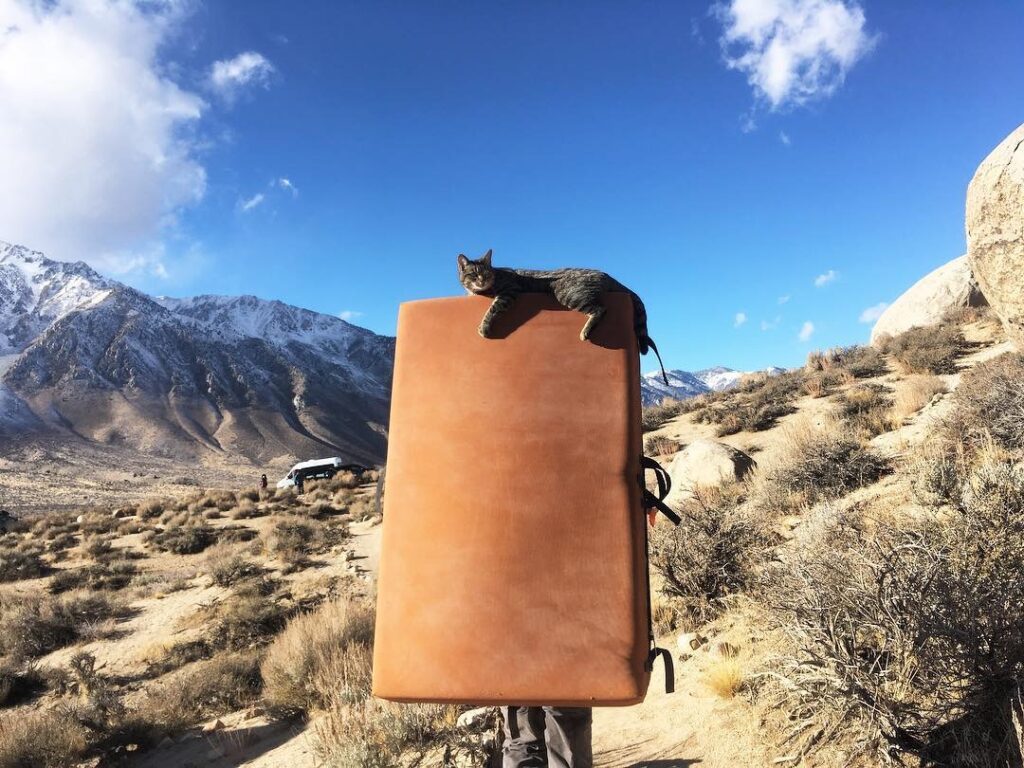 a person walking with climbing gear and their cat in bishop california