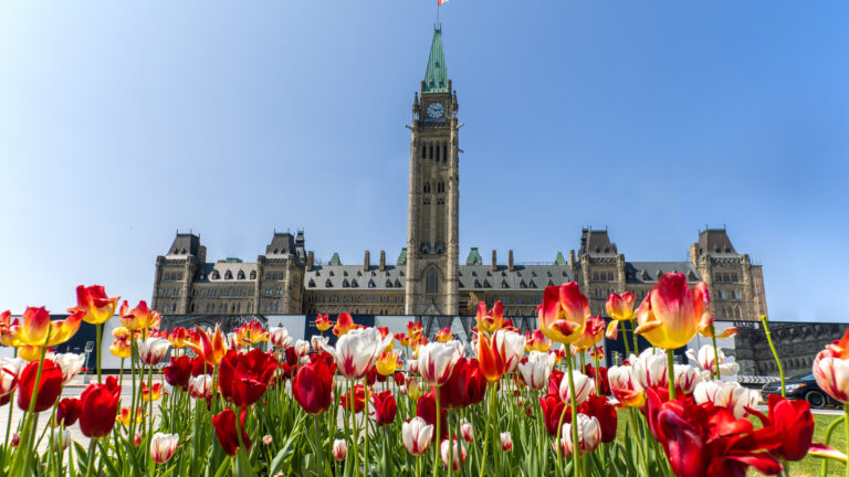 Ottawa during the tulips festival - a building with tulips in the forefront By Mircea Costina