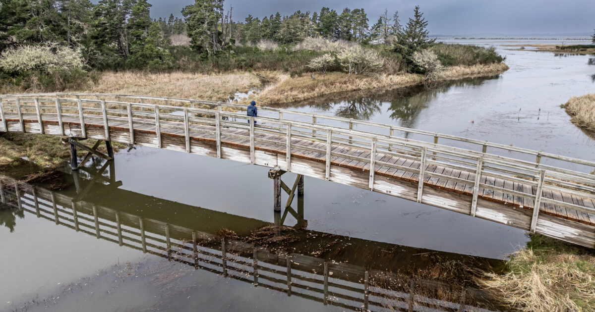 Aerial view from a licensed drone of tidal wetlands at Fort Stevens State Park in Oregon