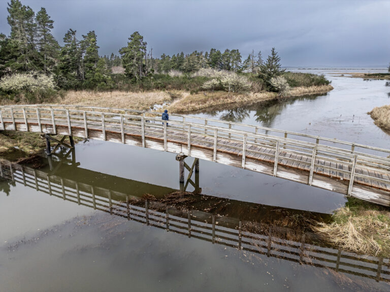 Aerial view from a licensed drone of tidal wetlands at Fort Stevens State Park in Oregon