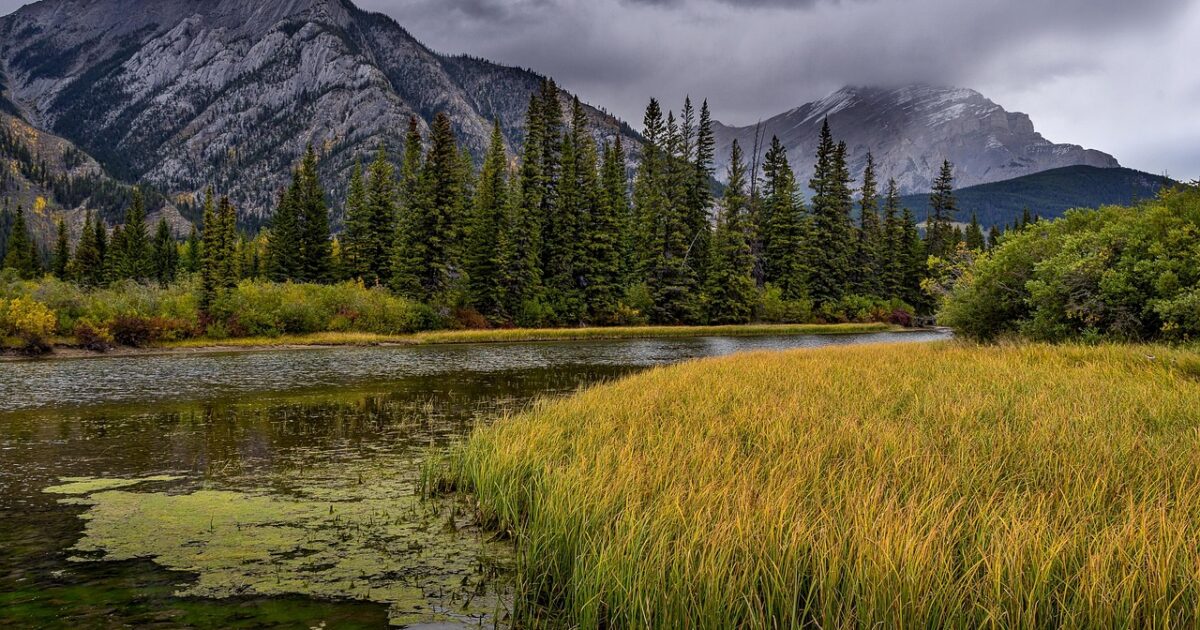 Green grass and rolling moutainsides in Glacier National Park resemble Killarney, Ireland