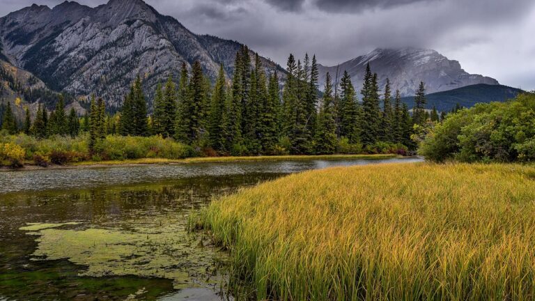 Green grass and rolling moutainsides in Glacier National Park resemble Killarney, Ireland