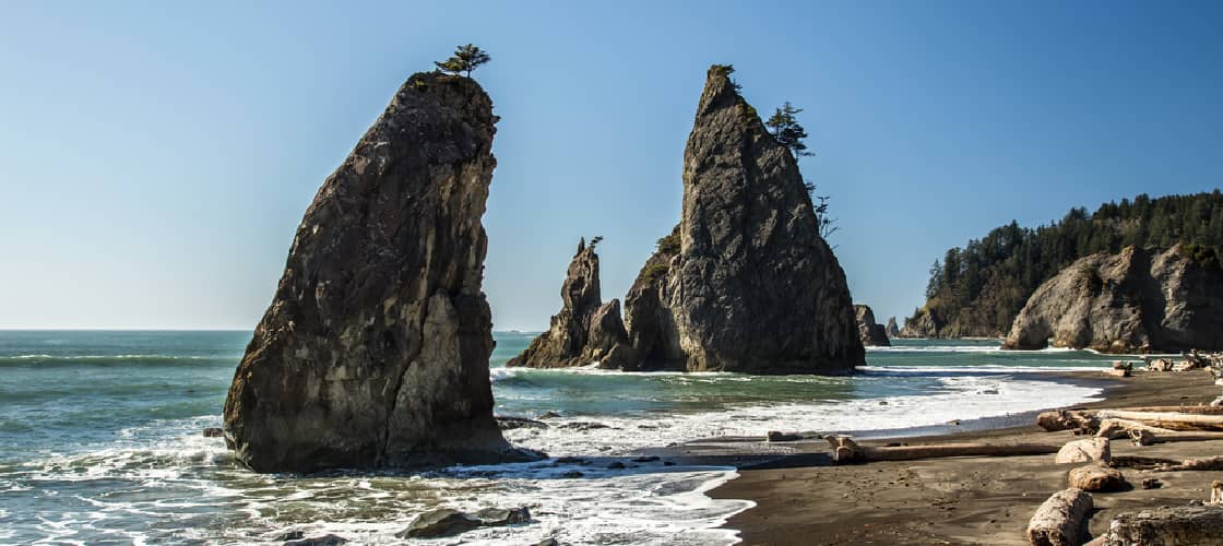a shoreline at Olympic National Park. There are several destination dupes for this park that have fewer crowds and lower prices