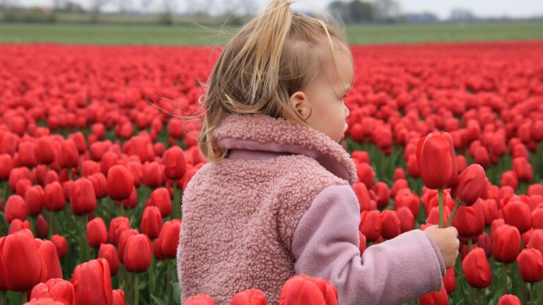 A child plays in blooming tulips like the ones that grow in Holland, Michigan, a European destination dupe in the midwest