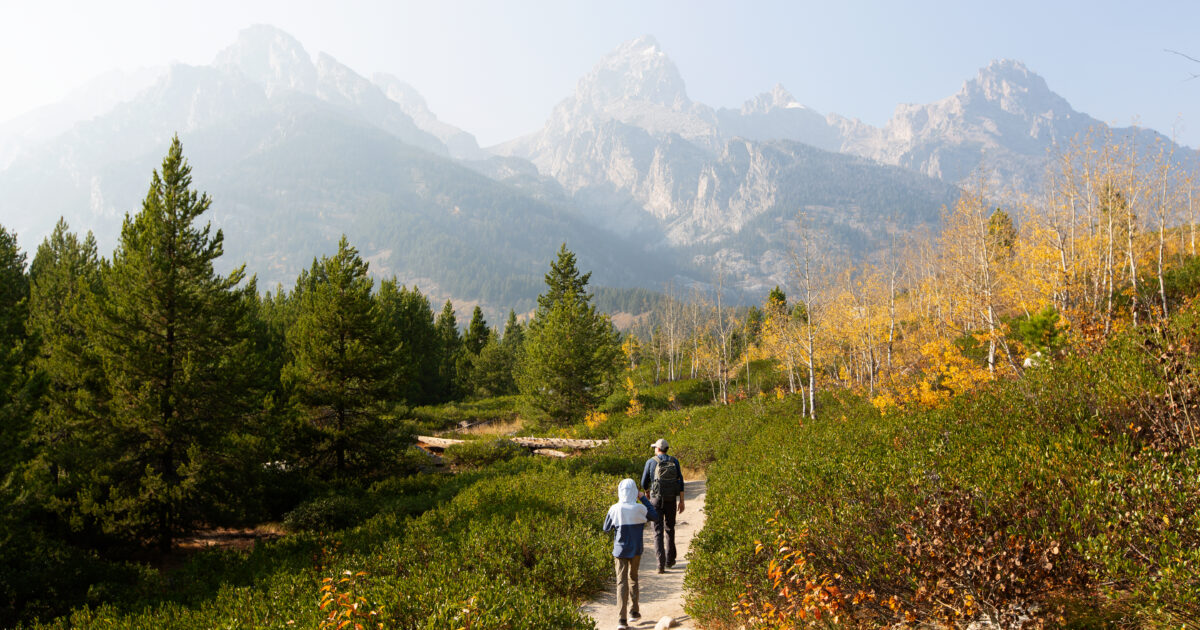 family hiking in grand teton national park in a crowd free trail