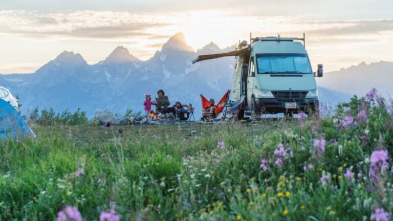 a campervan dispersed camping with wildflowers in the foreground and a family gathered around a campfire