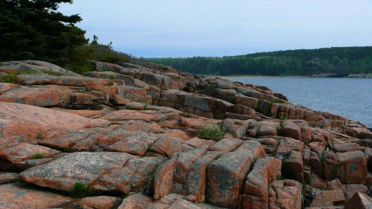 A view over a rocky beach at Acadia National Park