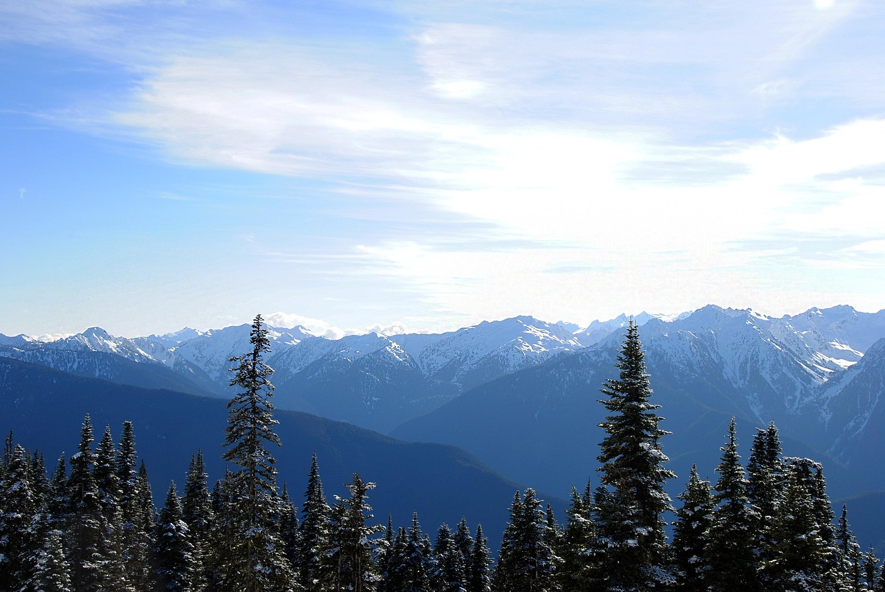 Crowd-Free Trails in Olympic National Park