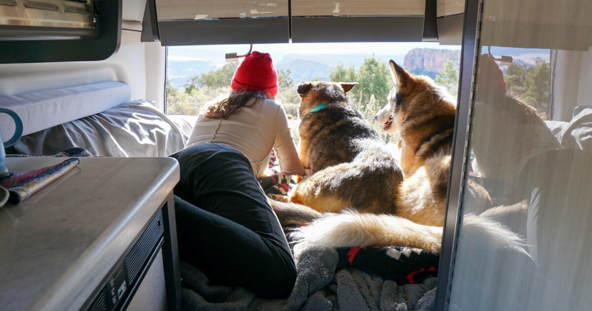 A woman and her dog gaze out of the back of a Class B RV -- the true RV value beyond the dollar figure.