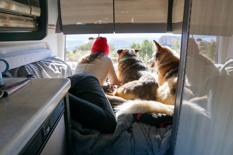 A woman and her dog gaze out of the back of a Class B RV -- the true RV value beyond the dollar figure.