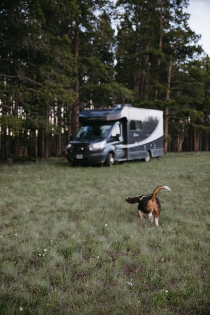 a dog running across the grass toward a Class C RV in a wooded area