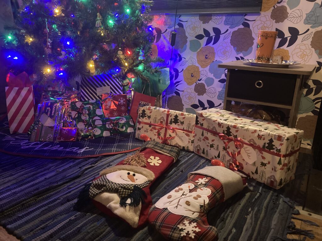 Our Christmas Tree in our RV