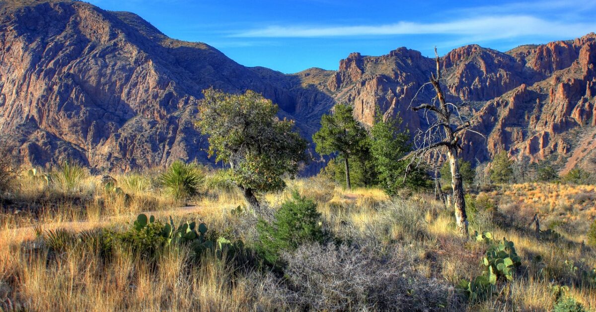 The desert landscape of Texas's Big Bend National Park, one of our favorite hidden gem national parks for RV road trips