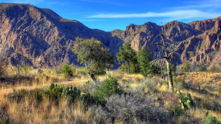 The desert landscape of Texas's Big Bend National Park, one of our favorite hidden gem national parks for RV road trips