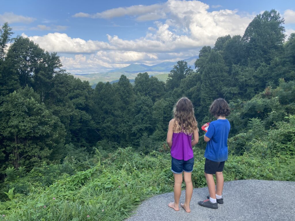 Nuestro hijo y su amigo disfrutando de la vista en el parque nacional.