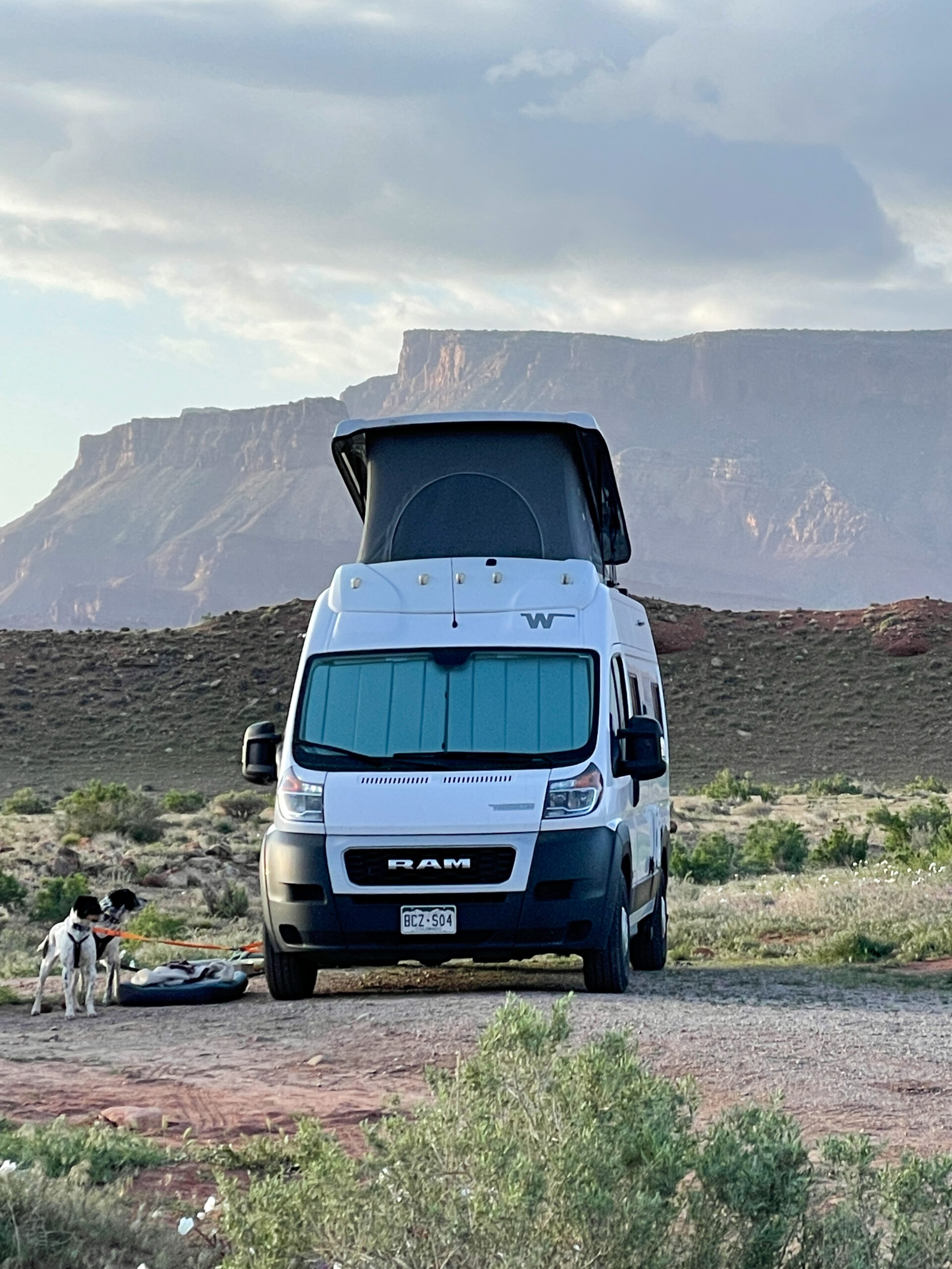Two dogs alongside a campervan in front of a hidden gem desert landscape outside of Utah's national parks